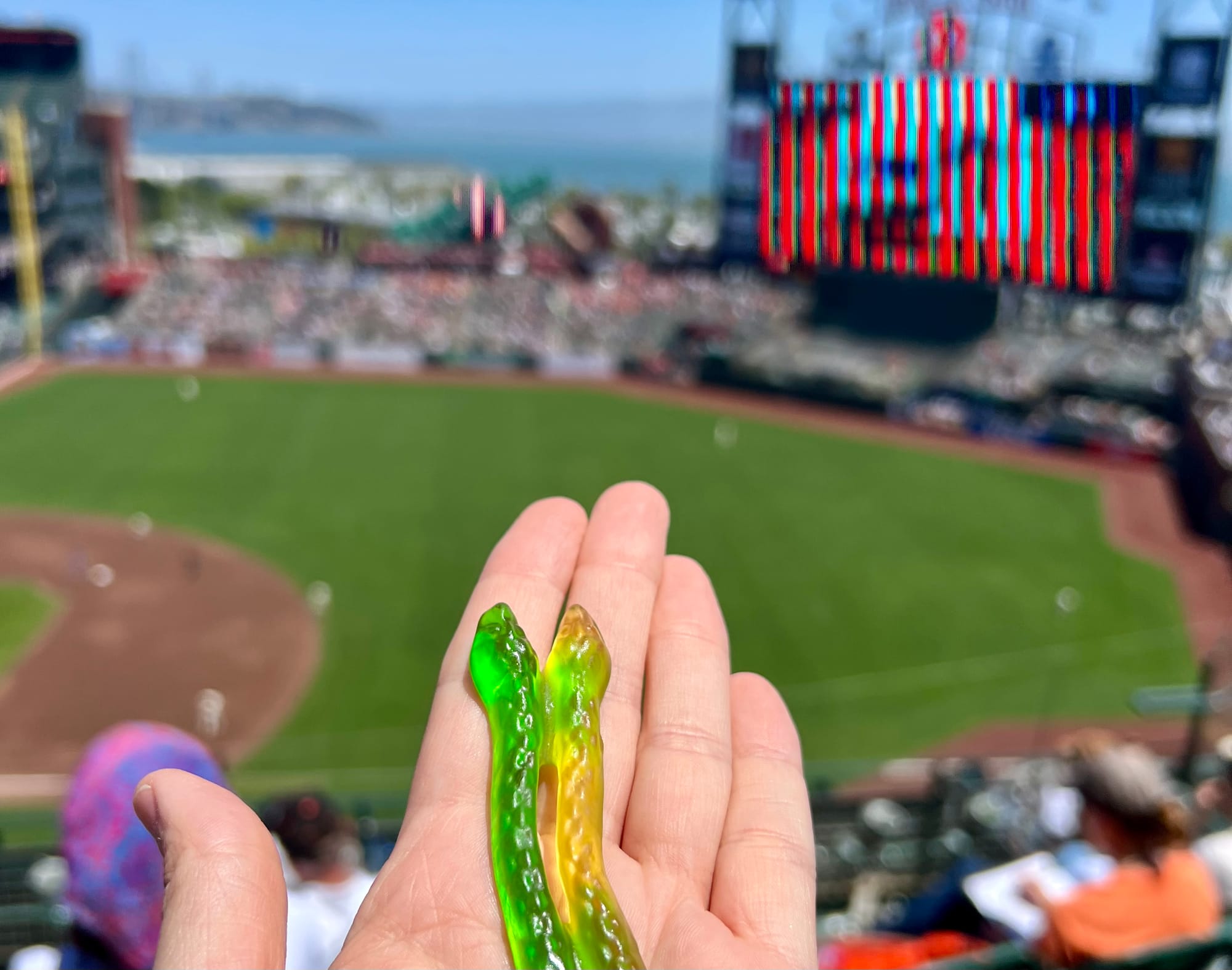 A two-headed gummy snake is perched on an outstretched hand, with a blurry grass ballfield in the distance.